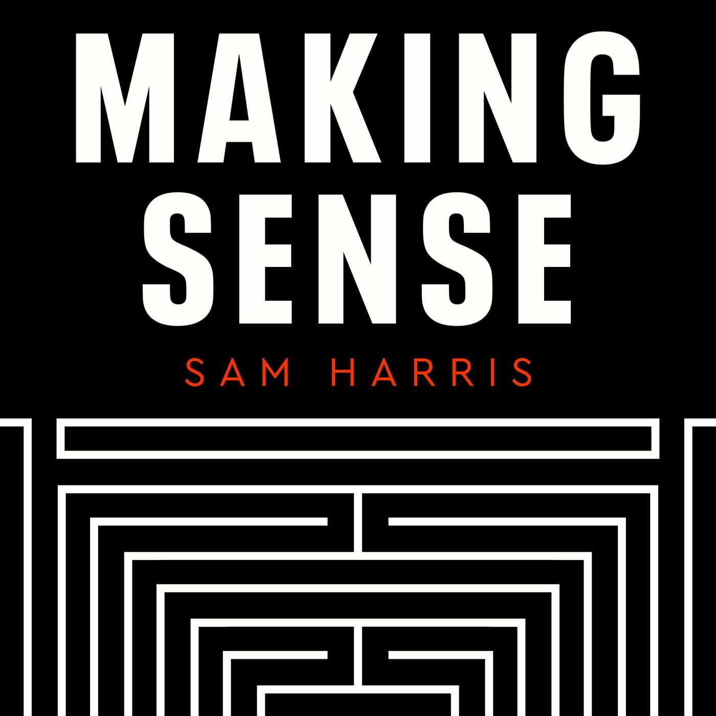 Making Sense // The Trouble with AI - ft. Gary Marcus